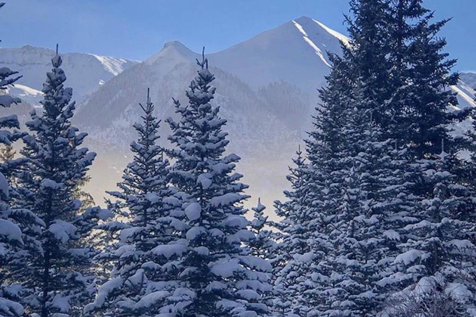 The Tucker Inn Telluride Εξωτερικό φωτογραφία